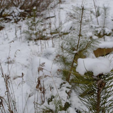 Casa Carbunaru Tîrgu Ocna Eksteriør billede
