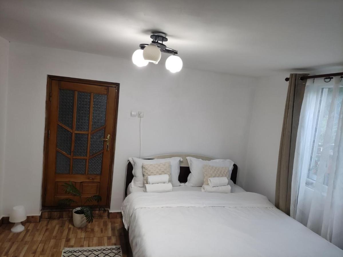 Casa Carbunaru Tîrgu Ocna Eksteriør billede